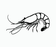 Minimalist Shrimp Outline Silhouette Template vector