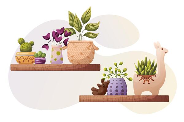 Plants Shelf Decor, Home plants in pots, .