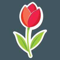 Vibrant Tulip A Symbol of Spring's Beauty vector