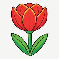 Vibrant Red Tulip A Symbol of Spring vector