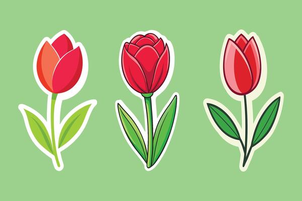 Charming Tulip Trio A Floral Delight