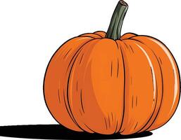 Artistic pumpkin illustration with clean lines and smooth shading, perfect for minimalistic autumn or harvest themes. vector
