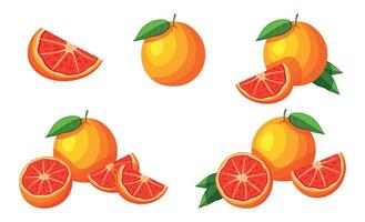 Set of delicious grapefruit in cartoon style. Flat illustration of a fresh and juicy whole grapefruit and a half, a piece with a green leaf isolated on a white background. Citrus. Healthy food. vector