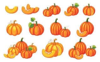 Set of fresh pumpkins in cartoon style. Flat illustration of yellow and orange pumpkins of different sizes and shapes, with seeds, halves, whole, in section, with tendrils, stems and leaves. Harvest. vector