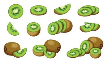 Set of delicious, fresh kiwi fruits in cartoon style. Flat illustration of healthy and nutritious kiwi fruits of different sizes, whole, half, circle, slices isolated on white background. vector