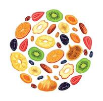 Dried fruits in the shape of a circle in a cartoon style. Flat illustration, pineapple,dried apricots,raisins,apples,kiwi,orange,strawberry, banana, prune, fig, date isolated on white background. vector