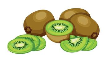 Delicious, fresh kiwi fruit in cartoon style. Flat illustration of healthy and nutritious different kiwi, whole, halves, slices, isolated on white background. Peeled and unpeeled kiwi. vector