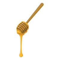 Fresh honey dripping from dipper illustration. Isolated on white background vector