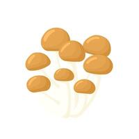 Honey agarics mushrooms flat. Mushroom - armillaria isolated without background. illustration vector