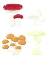 Mushroom set. Collection of different types forest mushroom. russule, champignon, armillaria, death cap. illustration vector