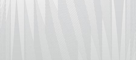Abstract white gray background. Mondern lines concept template illustration design vector