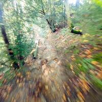 Image on a forest path, where the edges are blurred by movement photo