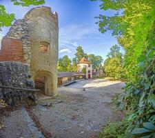 Picture of the Hornstein castle ruins in Germany during the day photo