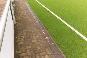 Autumn leaves falling on sideline of empty soccer field photo