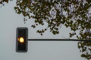 Yellow traffic light shining under cloudy sky and autumn leaves photo