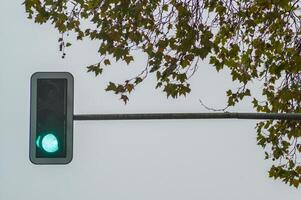 Green traffic light shining under cloudy sky and autumnal tree branches photo