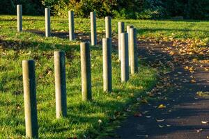 Concrete bollards separating grass from asphalt path covered with fallen autumn leaves photo