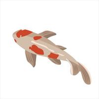 illustration of Koi fish from top view. Asian carp isolated on white background. vector
