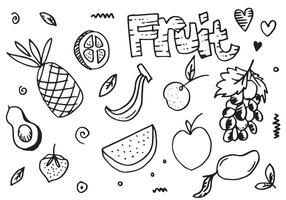 hand drawing of fruits in different styles. vector
