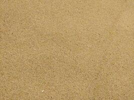 Fine golden sand covering a beach during a sunny day with clear skies, creating a serene and tranquil atmosphere for relaxation photo