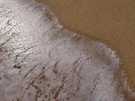 Gentle waves rolling onto sandy beach at sunrise, creating bubbles and a shimmering surface photo