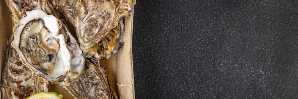 Oysters fresh seafood tasty food dish Fresh delicious gourmet food background on the table rustic food top view copy space top view pescetarianism diet photo