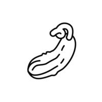 cucumber thin outline icon design good for web or mobile app vector