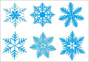 A variety of blue snowflake designs displayed on a clean white background, showcasing distinct patterns and shapes. illustration vector
