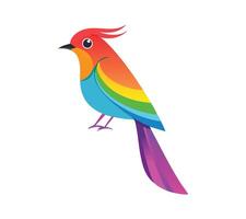 A colorful bird with a rainbow vector