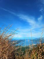 Vertical close-up of dry twigs and branches with a blurred view of the Bay of Kotor, Montenegro, and mountains in the background under a bright blue sky. Perfect for nature backgrounds or travel ads. photo