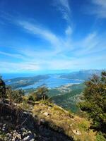 Stunning Panoramic View from Mountain Overlook of Bay of Kotor and Adriatic Sea in Montenegro, Featuring Lush Green Vegetation, Rugged Terrain, Coastal Towns, and a Clear Blue Sky with White Clouds photo
