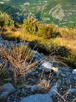 Vertical close-up of dry grass, rocks, and shrubs on a hillside in Montenegro with a distant view of the valley below. Ideal for nature-themed backgrounds, brochures, or environmental presentations. photo