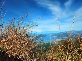 Horizontal close-up of dry twigs and branches with a blurred view of the Bay of Kotor, Montenegro, and mountains in the background under a bright blue sky. Perfect for nature backgrounds or travel ads photo