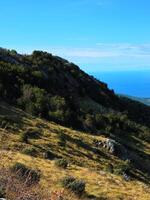 Vertical view of a sunlit mountain slope with greenery and rocks near the Bay of Kotor, Montenegro, under a bright blue sky with copy space. Ideal for nature backgrounds, brochures, or travel ads. photo