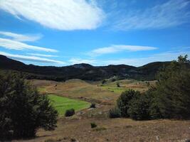 Horizontal view of the rolling grassy hills and meadows in Dolovi, Montenegro, surrounded by scattered trees and distant forested mountains under a bright blue sky. Ideal for travel brochures nature photo