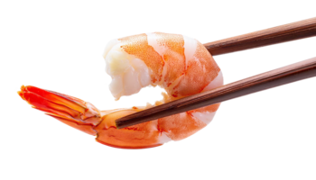 Shrimp held with chopsticks png