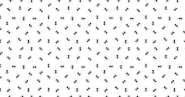home Flies pattern seamless. Black flies, summer seamless background illustration. vector