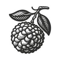 Retro Fruit Collection Hand Drawn vector
