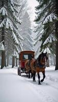 A horsedrawn carriage amidst a snowy winter forest photo