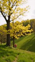A blurred scene featuring trees bathed in sunshine during spring or summer photo