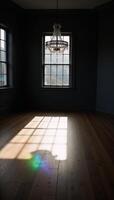 Empty room featuring darkgray walls wood floors large windows allow natural light for shadowy patterns photo