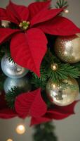 A red poinsettia is mirrored amidst festive Christmas decorations photo