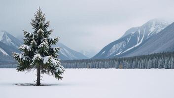 Snowdusted evergreen tree against a backdrop of misty mountains photo