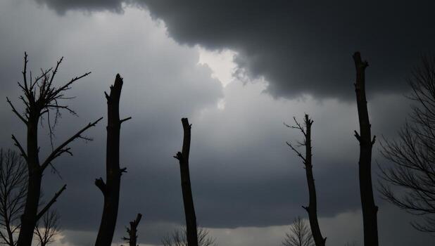 Blackandwhite drawing of tumultuous stormy sky with leafless trees photo