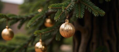 Gold ornaments adorn a tree photo