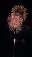Dazzling fireworks illuminate the night sky photo