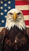Vintage Eagles adorned across an American Flag backdrop photo
