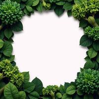A 3Drendered image featuring intricate cutout jungle greenery as a backdrop photo