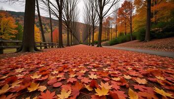 Autumn nature park backdrop showcasing maple leaves falling on the ground photo