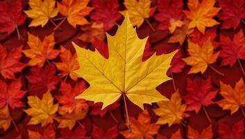 Autumn leaves create intricate patterns throughout various plant backdrops photo